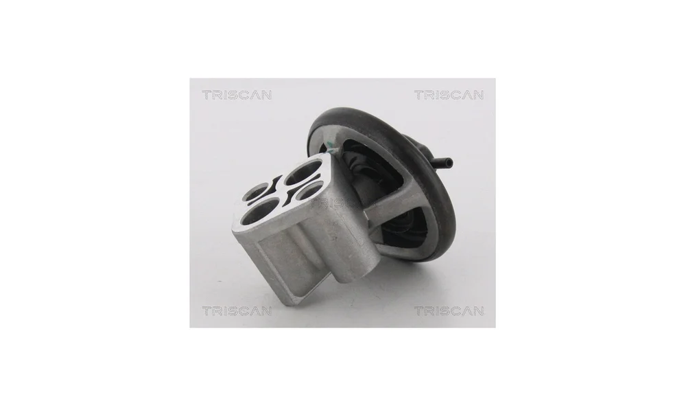 EGR-ventil - 8813 43007 - (Triscan) v:9665322
