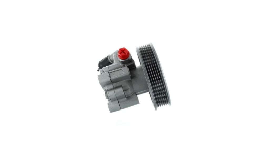 Servopumpe – 52687 – (GKN) v:5470839 Servopumpe – 52687 – (GKN) v:5470839