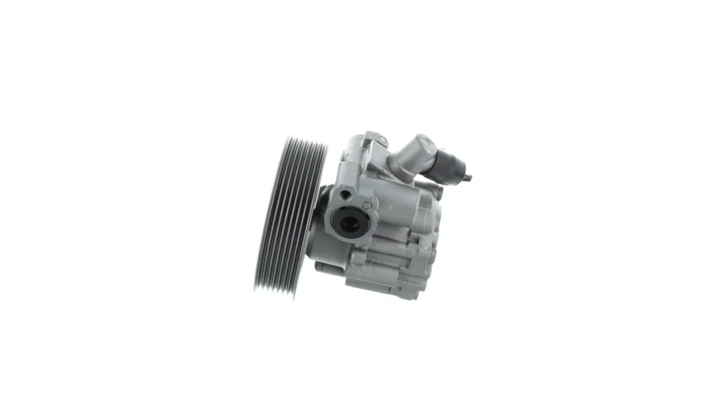 Servopumpe – 52612 – (GKN) v:4133537 Servopumpe – 52612 – (GKN) v:4133537