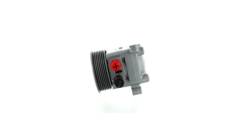 Servopumpe - 54888 - (GKN) v:5635634
