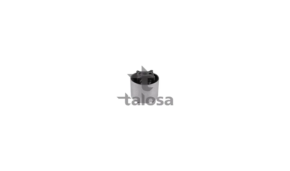Feste, Styrestag - 57-16890 - (Talosa) v:466439