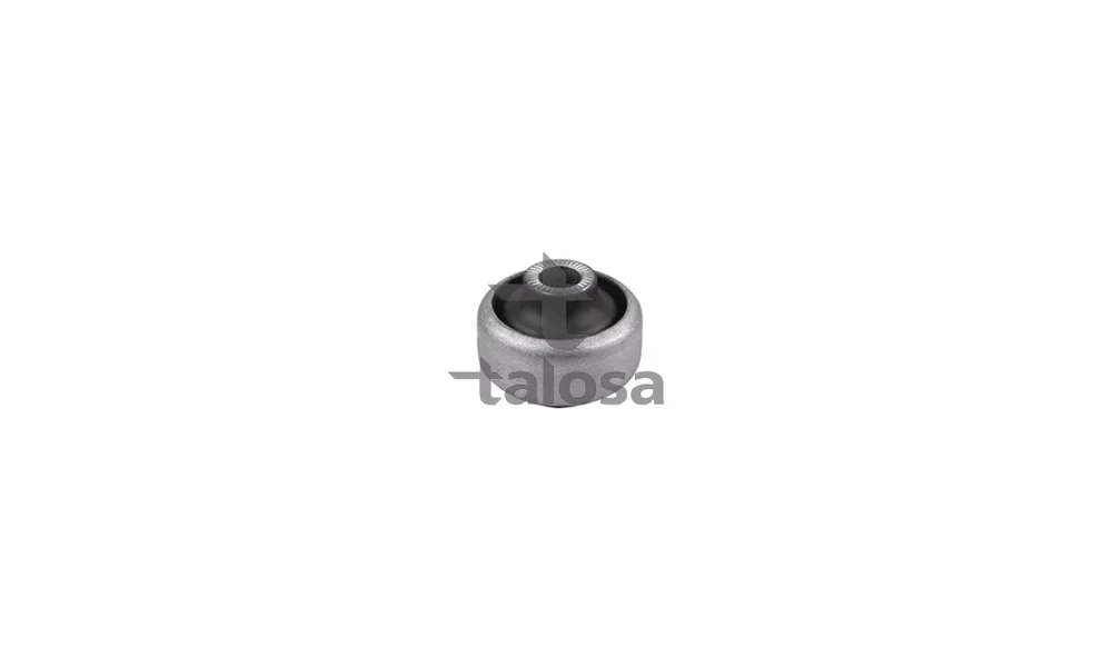 Feste, Styrestag - 57-16752 - (Talosa) v:6239514