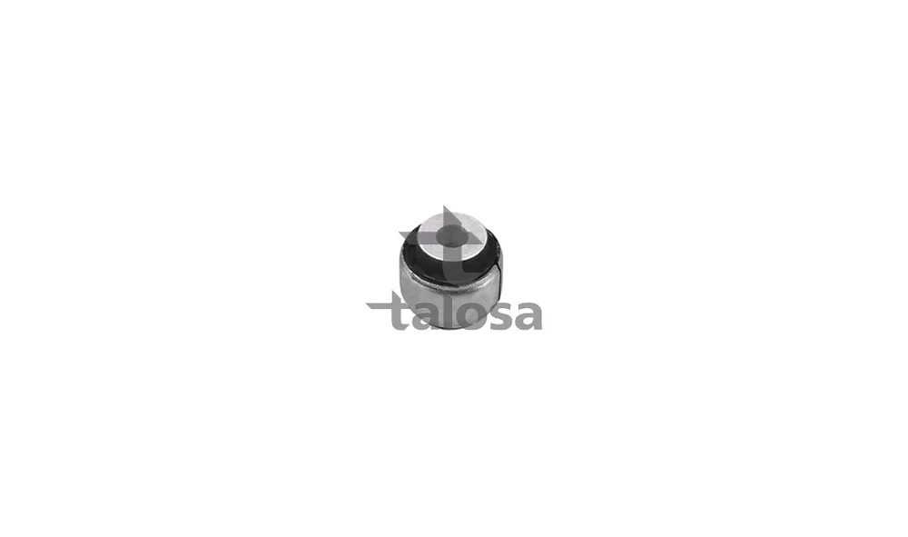 Feste, Styrestag - 57-17718 - (Talosa) v:129213