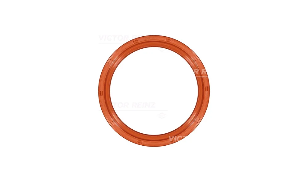 Simring, veivaksel 81-22887-00 (Reinz) v:8835989